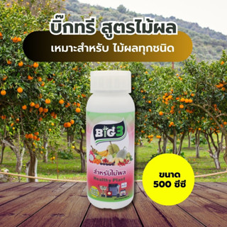 BIG3 สูตรไม้ผล ไม้ดอก ขนาด 500 ML.