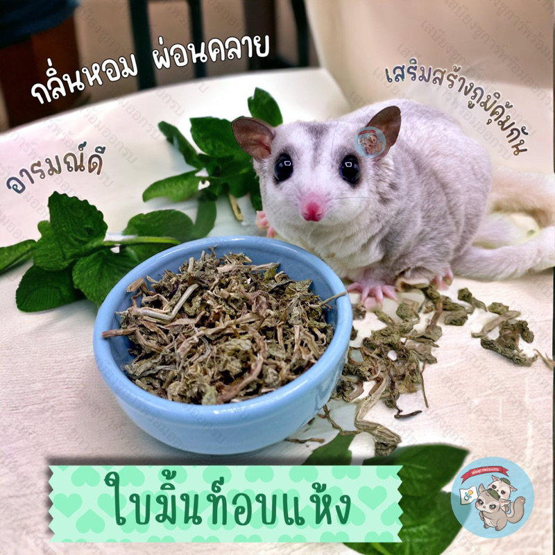 ( ใบมิ้นท์ ) MINT LEAVES ใบมิ้นท์อบแห้ง มิ้นท์อบแห้ง เปปเปอร์มินท์ ดอกไม้ ดอกไม้อบแห้ง ดอกไม้ทานได้ ชูการ์ กระรอก