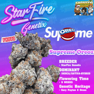 ค่าย Starfire Genetix ค่ายแท้💯 จากตัวแทนเมล็ดพันธุ์กัญชานอก