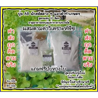 ปุ๋ย AB สำหรับผักสลัด(แถมฟรีอาหารเสริมทางใบ)A=10L. B=10L. มีปัญหาทางร้านยินดีให้คำปรึกษา