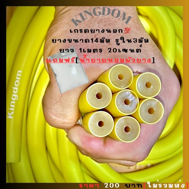 KINGDOMยางปลา15มิล รูใน3มิล ยาว1.20เมตร ยางนอกหนา3 ชั้นให้แรงระยะไกลเหมาะสำหรับบนบกและใต้น้ำ
