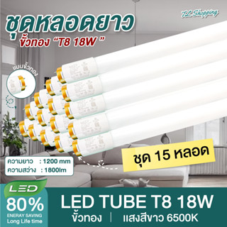 15 หลอด หลอดไฟขั้วแถบทองสวิตซ์ พร้อมใช้งาน LED T8 18W 120cm แสงสีขาว Daylight 6500K led Thailand Lighting