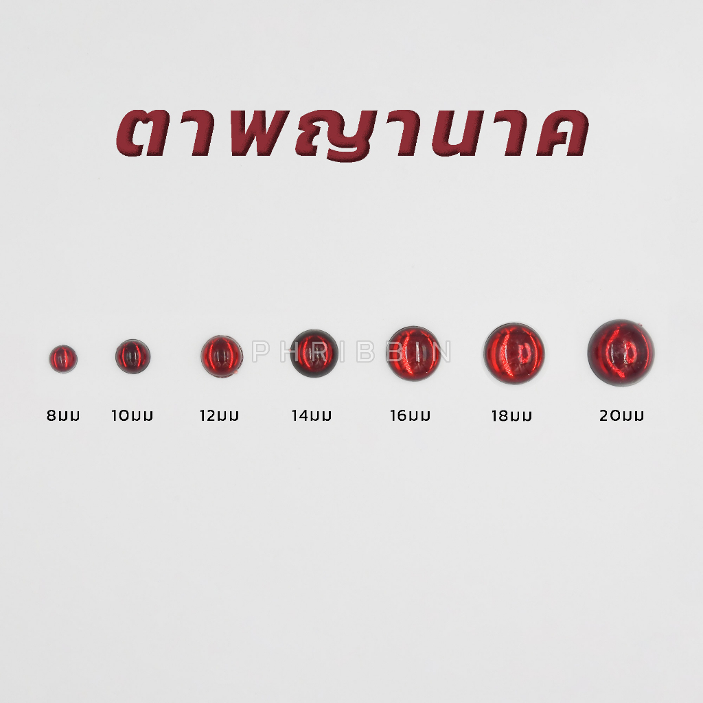 มุกซีก ตาพญานาค (มีขนาด 8,10,12,14,16,20มม.)