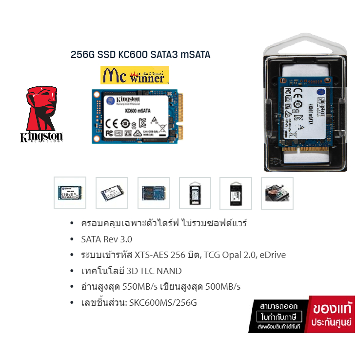 256 GB SSD SATA KINGSTON KC600 mSATA 3D TLC NAND (SKC600MS/256G) 550MB/s/500MB/s - รับประกัน 5 ปี