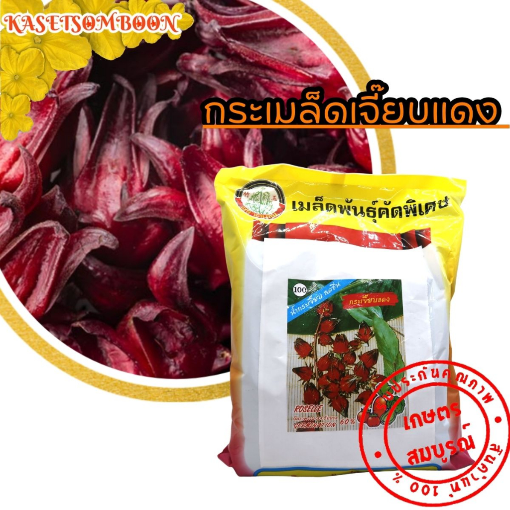 เมล็ดกระเจี๊ยบแดง พันธุ์ตรา ต้นไผ่ 1 กก.