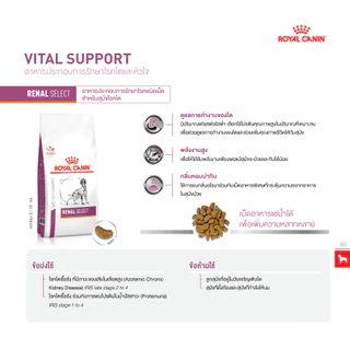 Royal Canin Renal Select Canine 10 kg อาหารสุนัข โรคไต ซีเล็ค ขนาด 10 kg