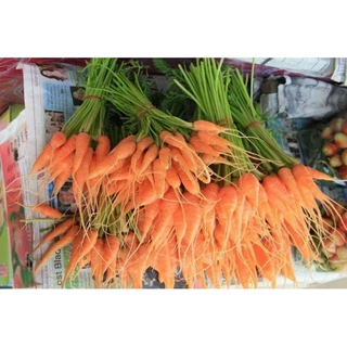เมล็ดพันธุ์เบบี้แครอท 100 เมล็ด (5แถม1คละได้)
