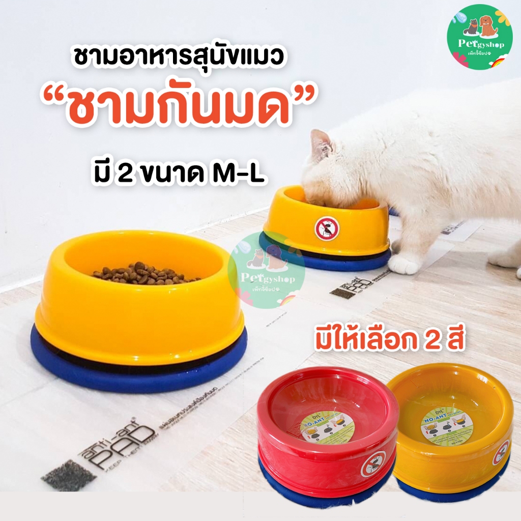 ชามกันมด กันมด สำหรับสัตว์เลี้ยง "No ANT Pet bowl"