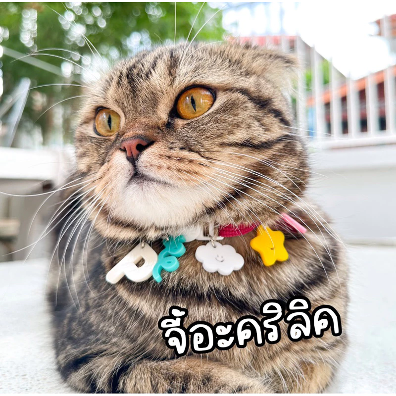 จี้อะคริลิค 2.5cm. พร้อมห่วงกลม