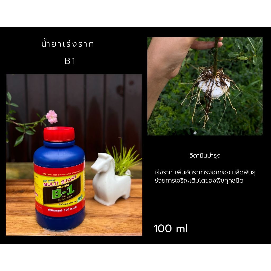 น้ำยาเร่งราก B1 ขนาด 100 ml. กิ่งปักชำ กิ่งตอน แช่เมล็ดพันธุ์ เร่งการเจริญเติบโต ฟื้นฟูพืชทุกชนิด