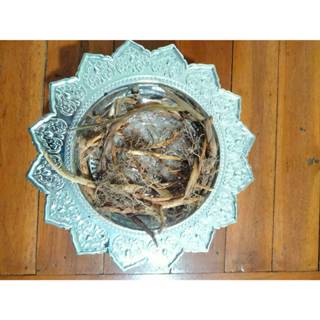 ราก(ไหล) คงกลิ่นหอม ว่านสาวหลงรวมตัวผู้ตัวเมีย กึ่งแห้งกึ่งส…