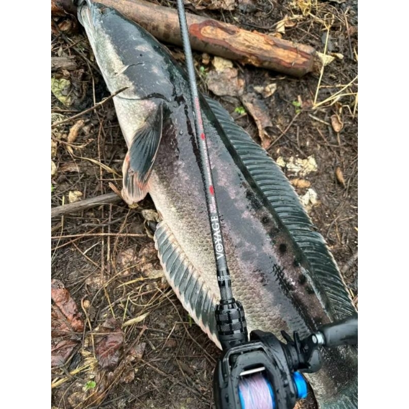 Bone Voyage Tight Quarters Expedition Series #BEC604H (Baitcasting) ตกบนเรือสบายๆสายผกพาไม่ควรพลาด