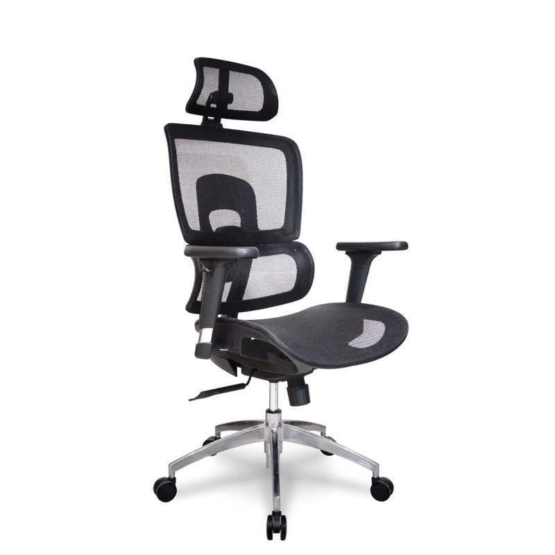 Sure เก้าอี้ทำงานเพื่อสุขภาพ เก้าอี้สำนักงาน "MERSEUSE" รุ่น PL-189