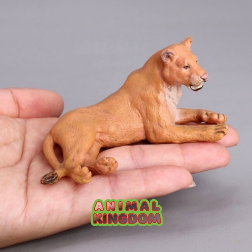 Animal Kingdom โมเดลสัตว์ สิงโต แม่ นอน ขนาด 9.50 CM (จากหาดใหญ่)