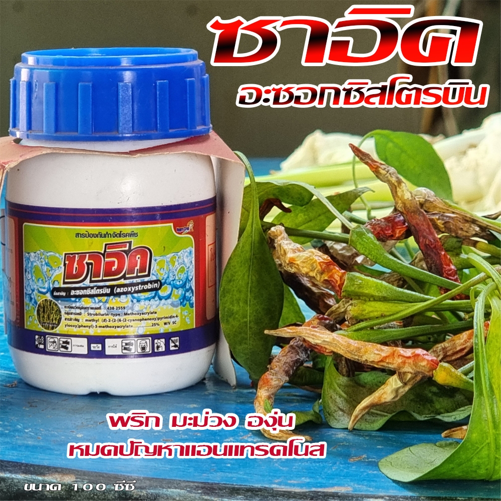 ยากำจัดโรคกุ้งแห้ง ยากำจัดเชื้อราในพริก ยาป้องกัน กำจัดเชื้อแอนแทรคโนส ในพริก ในมะม่วง ในอง่น ขนาด 100 ซีซี