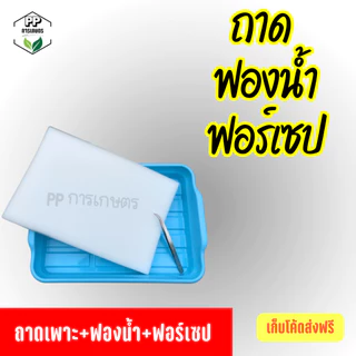 ถาดเพาะต้นกล้า ถาดเพาะผักไฮโดรโปนิกส์ ถาดเพาะเมล็ด ใส่ฟองน้ำได้พอดี (*คละสี*)