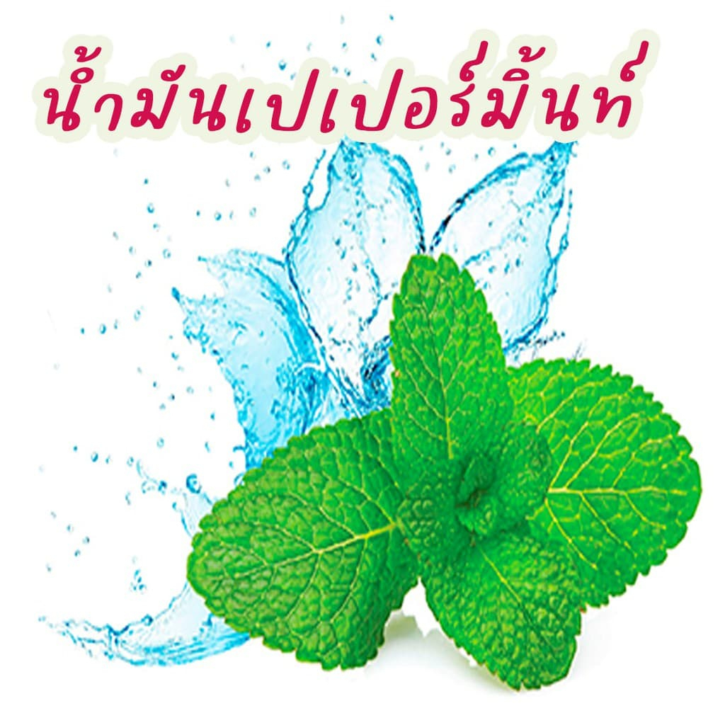 ฆ่าแมลงวัน 10000 ใน 1วินาที สเปรย์ไล่แมลงวัน 500ml ยาฆ่าแมลงวัน กําจัดแมลงวัน ยากําจัดแมลงวัน ยุง แมลงฯลฯ ได้ผล100% - รูปที่ 5