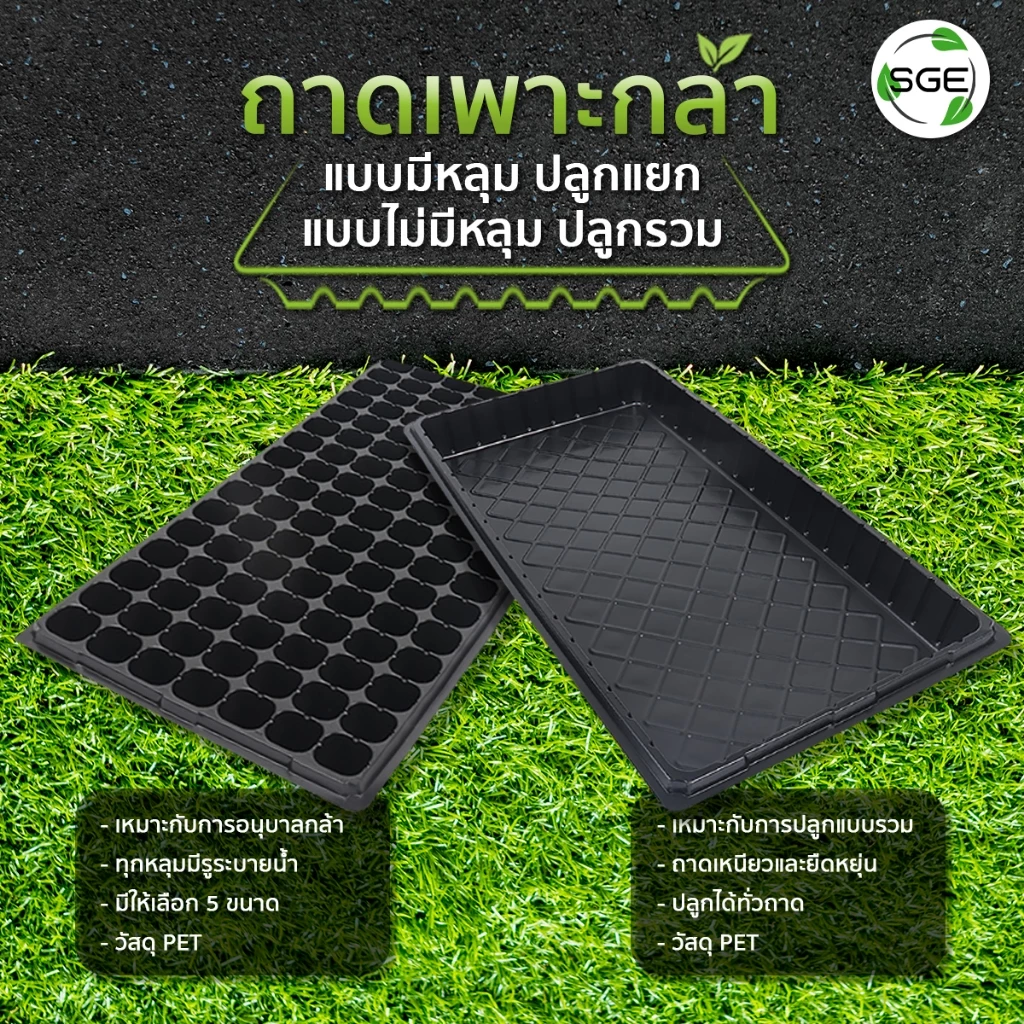 SGE ถาดเพาะกล้า ถาดเพาะชำ เพาะเมล็ด วัสดุ PET หนา ยืดหยุ่น thumbnail 6
