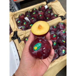 ลูกไหน พลัม นำเข้า (PLUMS) (1kg)เนื้อเหลือง ผิวแดงผิวดำตามล๊อก