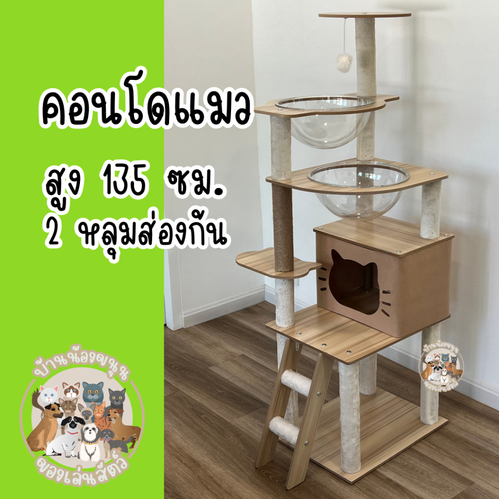 คอนโดหลุมแมว 2 หลุม พร้อมส่ง คอนโดแมวขนาดใหญ่ แข็งแรง งานไม้ทั้งหลัง ส่งจากไทย ร้านคนไทย BNKN003