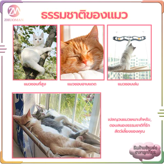 เปลแมวติดกระจก เบาะแมว ที่นอนแมว ขนาดใหญ่ 55x35ซม รับน้ำหนักได้ถึง 20 kg ถ้วยดูดที่มีประสิทธิภาพ มั่นคงและไม่หลุดง่าย