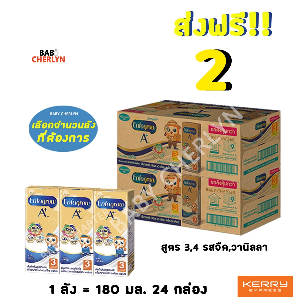 2 ส่งฟรี! Enfagrow A+ เอนฟาโกร เอพลัส นกฮูก สูตร 3 และ 4 รสจืด 180 มล 24 กล่อง นมจืด นมกล่อง