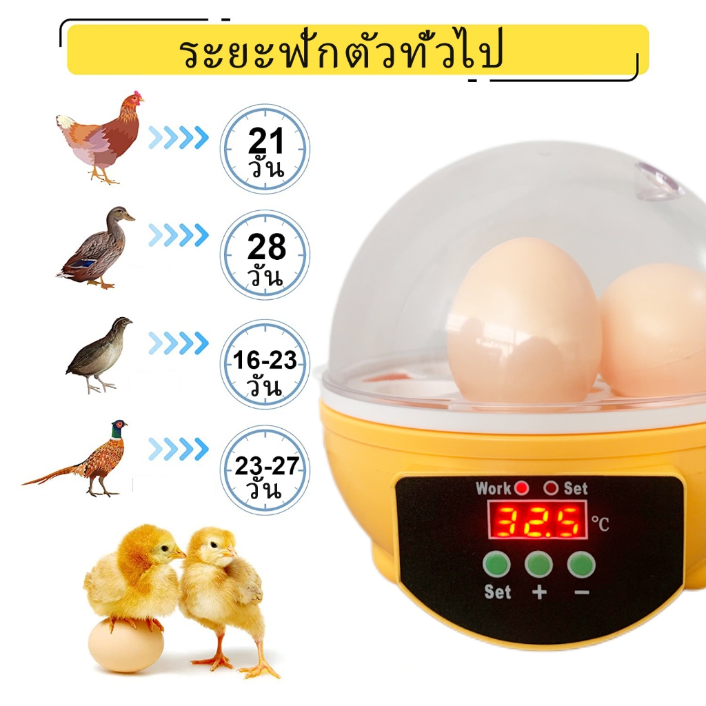 ฟักได้สูง💥ตู้ฟักไข่ไก่ 7ฟอง เครื่องตู้ฟักไข่ Incubator ตู้ฟักไข่ เครื่องฟักไข่ พร้อมส่งจากไทย