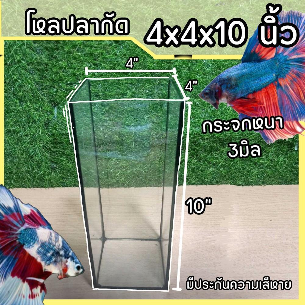 โหลปลากัด 4x4x10 นิ้ว กระจกหนา 3 มิลลิเมตร 1 ใบ มีประกัน