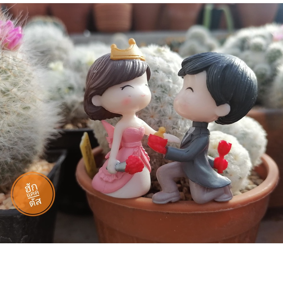 คู่รักบ่าวสาวคุกเข่าขอแต่งงาน เจ้าสาวมีมง มี 2 สีให้เลือก (ราคา/1 คู่) ตุ๊กตาแต่งสวน  จัดสวนถาด พร็อพถ่ายรูป