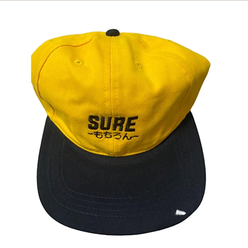 SURETHING 2 TONE CAP