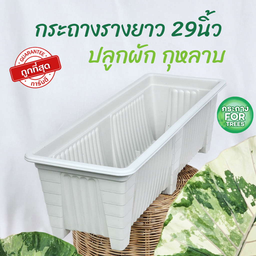 กระถางต้นไม้พลาสติกรางยาว ปลูกผัก 29 นิ้ว สีขาว