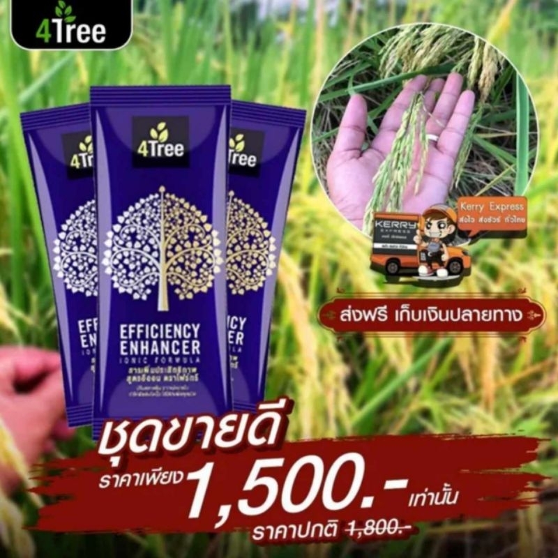 โฟร์​ทรี​ 4Tree​ (3ซอง) อาหารเสริมพืช​ เร่งราก​ โตเร็ว​ ลดต้นทุน เพิ่มผลผลิต ปรับปรุง​ดิน ของแท้