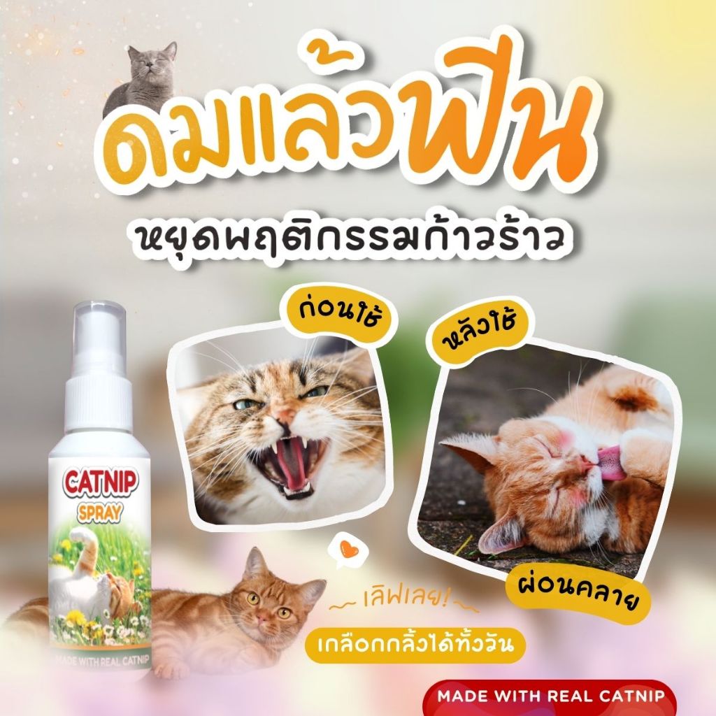 CATNIP สเปรย์หญ้าแคทนิป สเปรย์แมวเคลิ้ม สารสกัดจากพืช แคทนิป