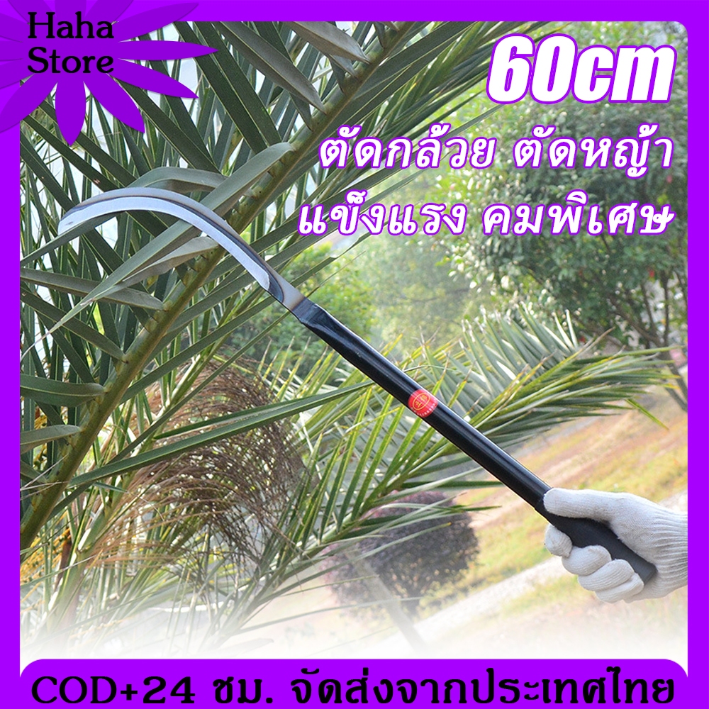 เคียวเหล็กแมงกานีส เคียว เหล็ก แมงกานีส ญี่ปุ่น มีดหวดหญ้า เคียวเหล็ แมงกานีสแท้ เคียวตัดกิ่งไม้ เคี
