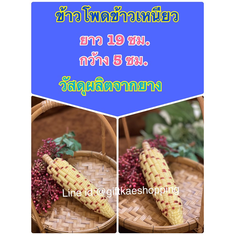 ข้าวโพดปลอม โมเดลข้าวโพดข้าวเหนียว(วัสดุผลิตจากยาง) ราคาต่อ 1 ฝัก