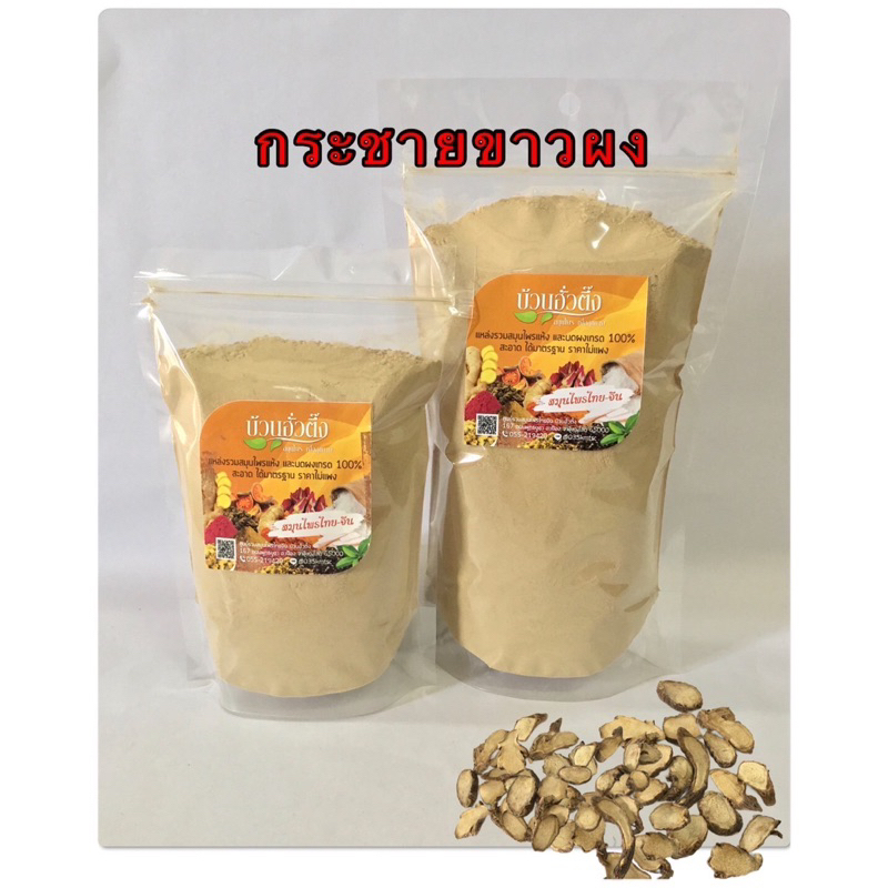 กระชายขาวผง กระชายขาว กระชายเหลือง ชื่อสามัญ Fingerroot,Chinese ginger