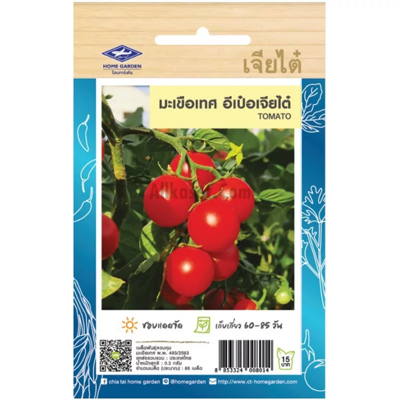 เมล็ดพันธุ์ มะเขือเทศ อีเป๋อ ตราเจียไต๋