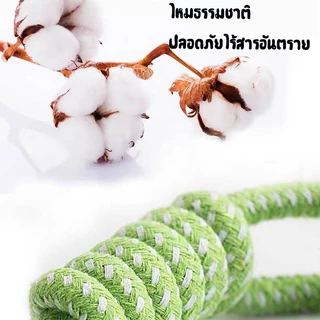 ของเล่นสุนัข เชือกกัดสุนัข เชือกกัดสำหรับหมา เชือกกัดสำหรับหมา แบบเซตสีเขียว