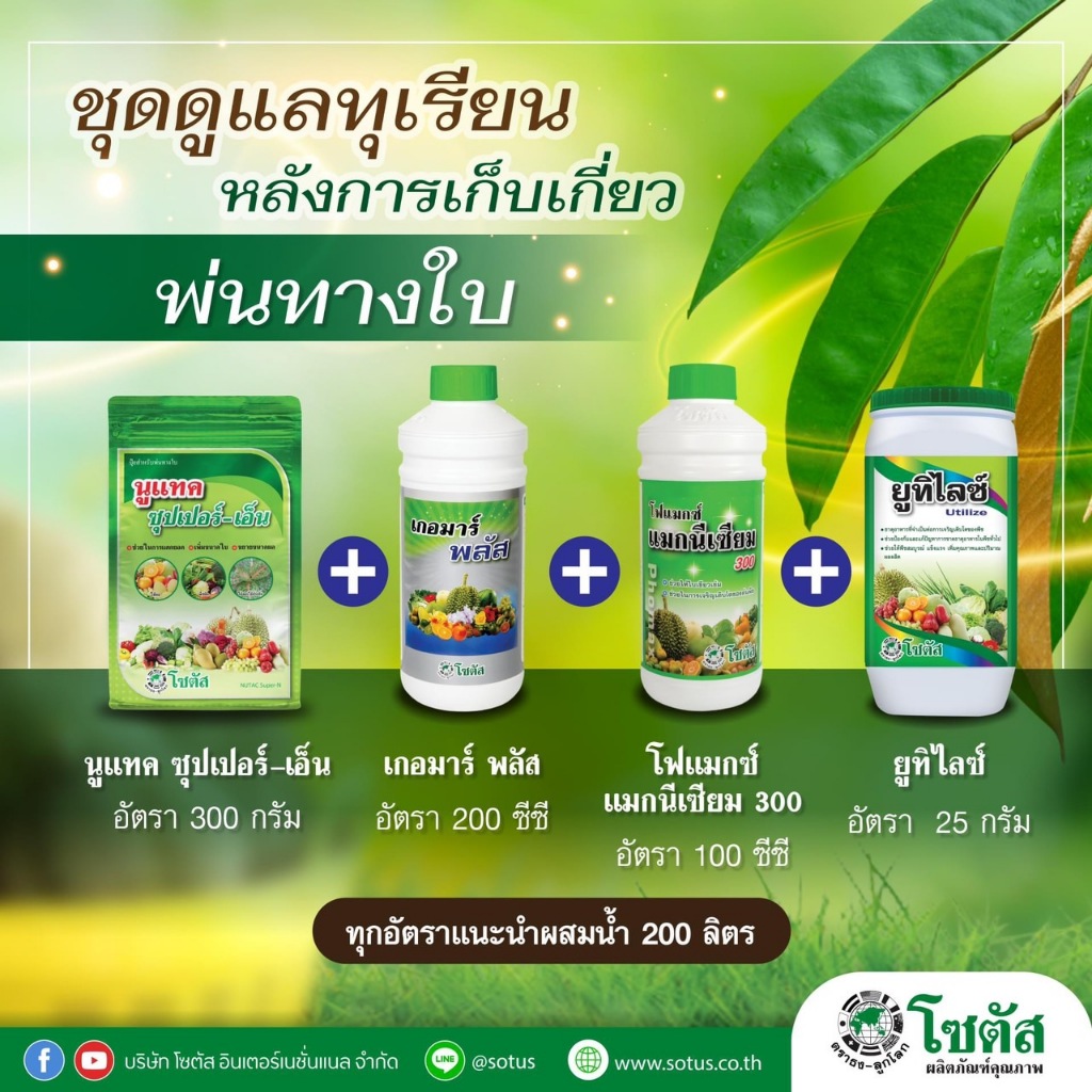 ชุดดูแลทุเรียนหลังการเก็บเกี่ยว นูแทค ซุปเปอร์-เอ็น+เกอมาร์พลัส+โฟแมกซ์ แมกนีเซียม 300 1ลิตร+ยูทิไลซ์