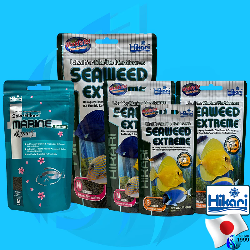 Hikari Seaweed Extreme S 45g / M 90g อาหารเม็ด สำหรับปลาทะเลกินพืช Saki-Hikari Marine Herbiivore 90g