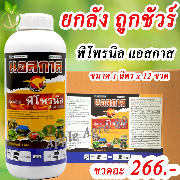 ยกลัง ถูกชัวร์ แอสกาส พิโพรนิล ขนาด 1 ลิตร x 12 ขวด พิโพนิล หนอน ปลวก พิโพรนิลยกลัง พิโพรนิล80 พิโพรนิล5เอสซี