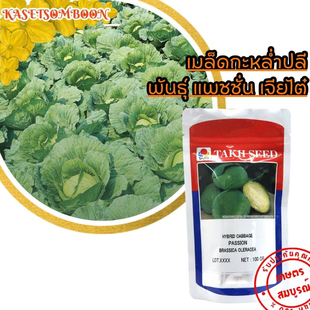 กะหล่ำปลี แพชชั่น เมล็ดพันธุ์ 100 ก. ต้านไวรัส หัวใหญ่ ตราเจียไต๋