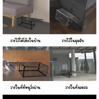 MUSCLE COW กรงดักหนูสปริง 2ตัวโครงหนา กรงดักหนู กรงดักหนูแบบมีโครง กรงดักหนูสปริงคู่ กรงดักหนูนา กรงดักหนูเล็ก
