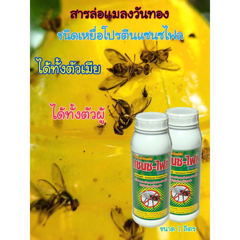 โปรตีนดักแมลงวันทองแซนซไฟลแพ็ค2ขวด