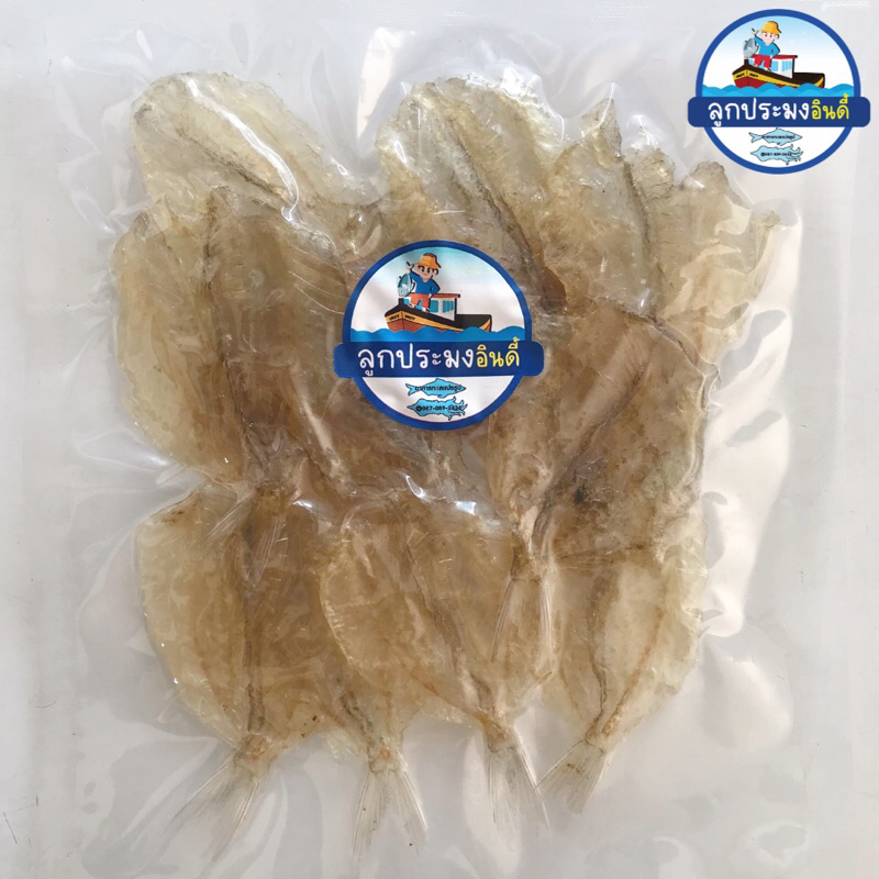 ปลาแป้นแก้ว รสหวาน 100g ตากแห้ง เนื้อใส สะอาด อร่อย