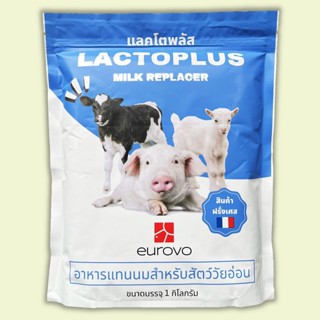 Lactoplus นมผงสำหรับสัตว์แรกเกิด 3 วัน นมผงลูกวัว ลูกหมู ลูก…