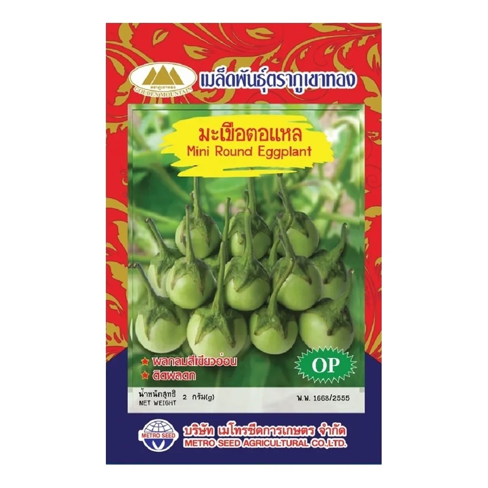 เมล็ดมะเขือตอแหล ตราภูเขาทอง Mini Round Eggplant เมล็ดพันธุ์มะเขือตอแหล เมล็ดมะเขือ เมล็ดมะเขืออ้อร้อ เมล็ดพันธุ์มะเขือ