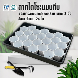 ถาดไดโซะ แบบทึบ และเจาะรู พร้อมกระถางแคตตัส เพาะเมล็ดถาดชำหน…