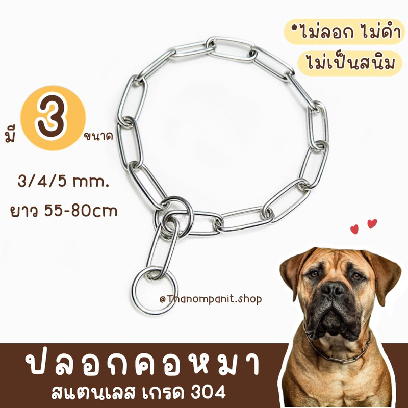 (รุ่นมีห่วง) ปลอกคอหมา ปลอกคอสุนัข ปลอกคอสแตนเลส เกรด 304 หนา3-4มิล