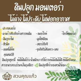 ดินปลูกต้นไม้ มอนสเตอร่า ไม้ด่างสวยงามทุกสายพันธุ์